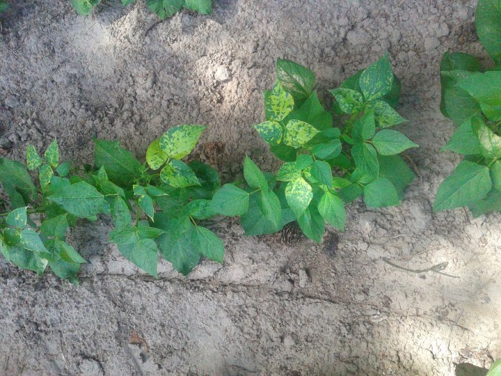 AP1GczOob4Z8_FkCp_wH-swdVsR2naAsF3q_3Wk1