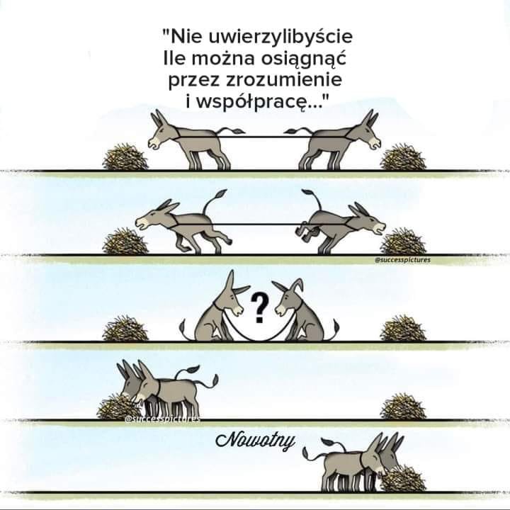 Może być zdjęciem przedstawiającym tekst „"Nie uwierzylibyście Ile można osiągnąć przez zrozumienie iwspółpracę..." @successpictures Nowotny”