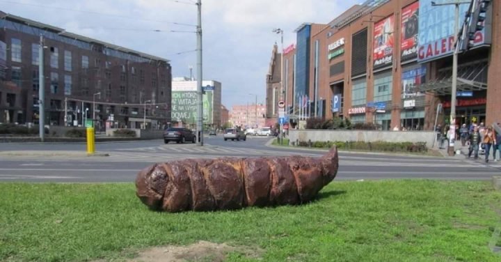 Może być zdjęciem przedstawiającym na świeżym powietrzu