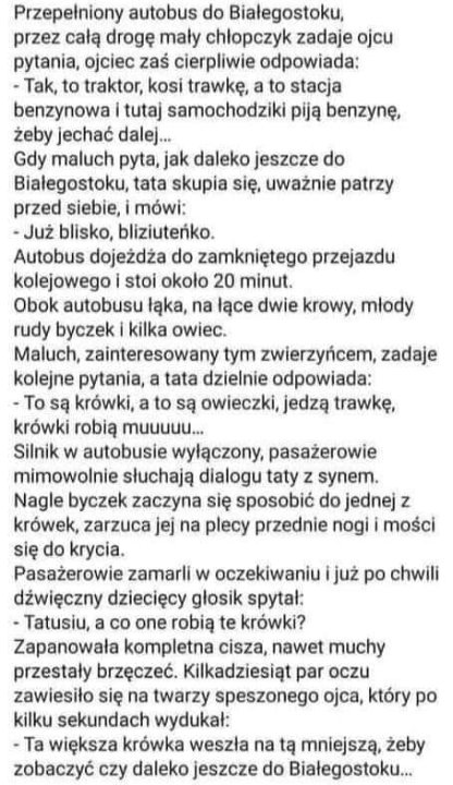 385711732_822294749439965_44851358094658