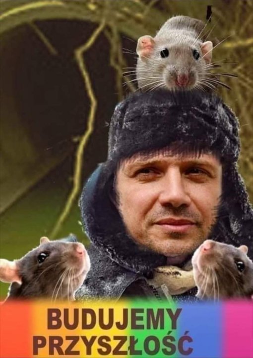 243131678_1774461269430095_2337173764101