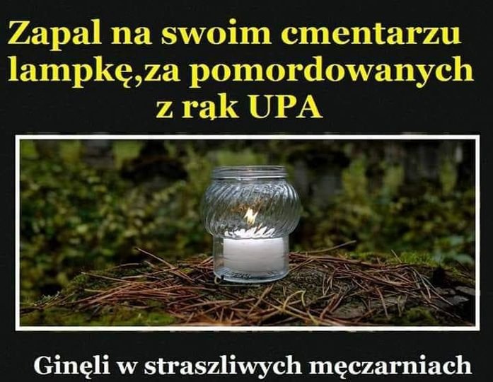 311161475_5575298269214674_8122780313980