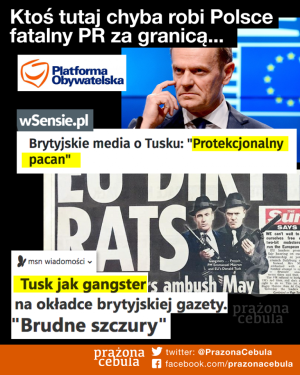 43629524_1934291009926656_29650495191100