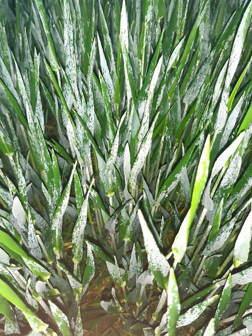 ngMhDx7W0eemYjC4bTNrnkaXgHE8ZQhxP0NmeLEZ