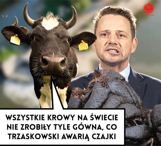 183467660_316186759947061_67289761348088