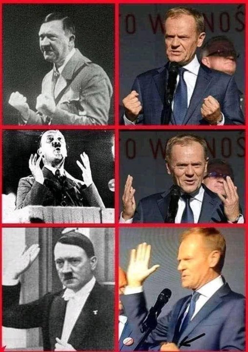 174333401_514888032843627_18224436877018