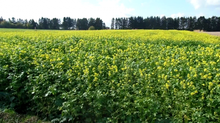 1MSFJscOpCg42c8mhtiLsjfPhoCq8uCOlR1pjgFe