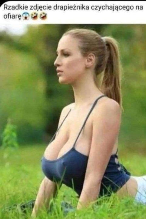 Może być zdjęciem przedstawiającym 1 osoba i tekst „Rzadkie zdjęcie drapieżnika czychającego na ofiarę”