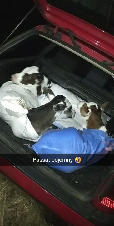 316419036_2700824466718097_3171882241328