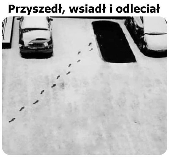 Może być zdjęciem przedstawiającym tekst