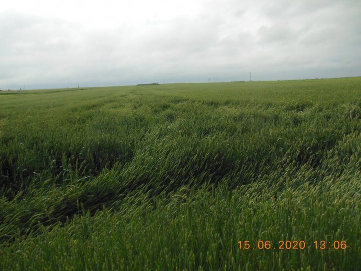 ACtC-3fGSBsCVI5FT0eSz1yPlx1iRMsyVcxtlUmv