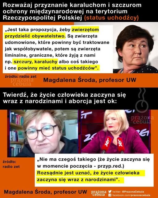 147395073_3751389608216778_7472225739282