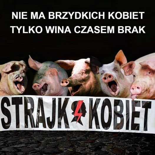 247392557_1268493260242420_1539705917841