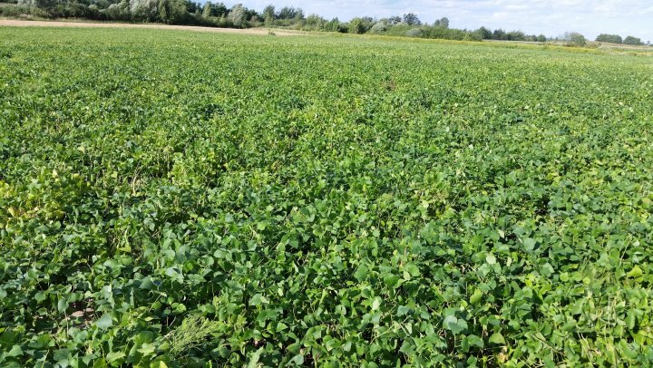 AP1GczOiPm7PYsDSxEfzlgZc2LQSmtwwobZTKAd6