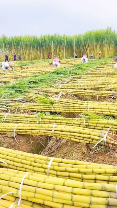 Może być zdjęciem przedstawiającym 9 osób
