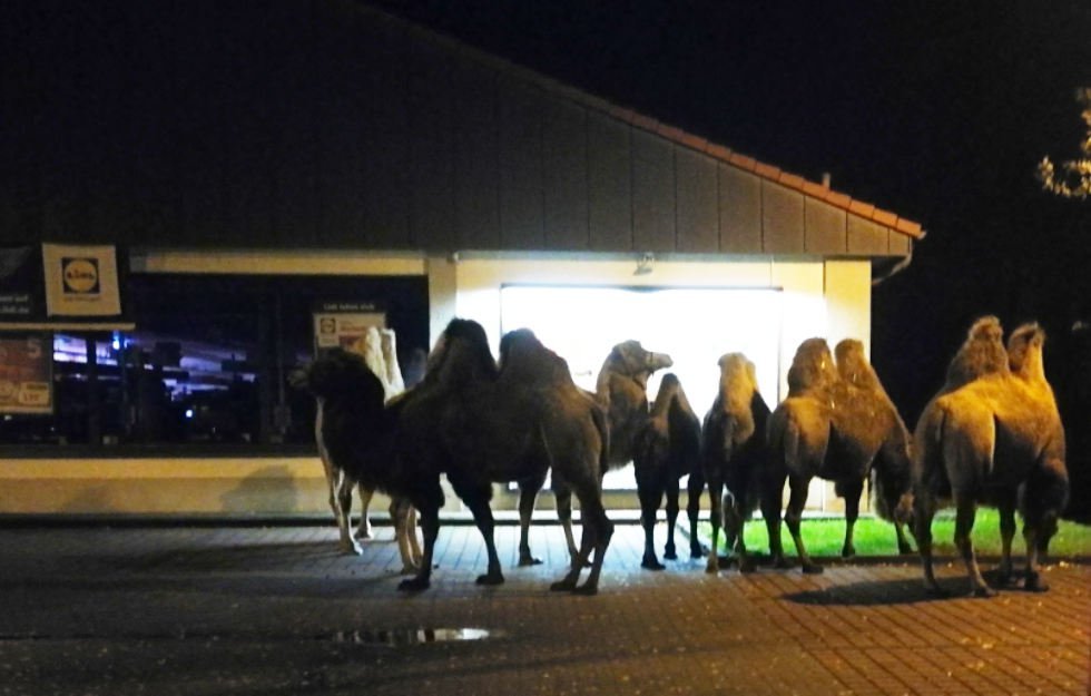 Dr3_KsjX0AIU30u.jpg:large