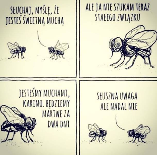 95493868_3480837685266635_65540734503511