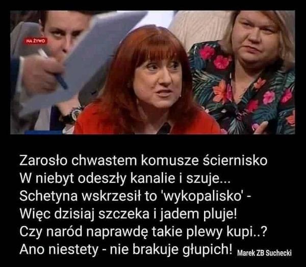 141670173_420064092639230_33654674269571