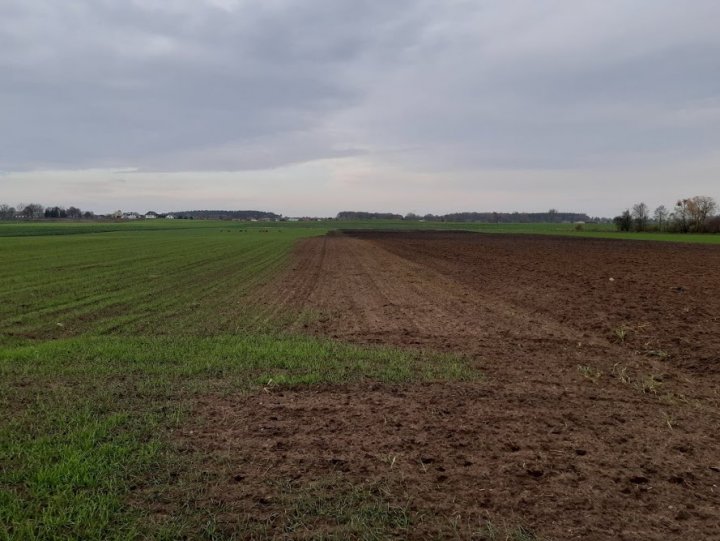 AqrzZnHnBkvY1M6ANL30k_cQrrskmt_565vPZRFs