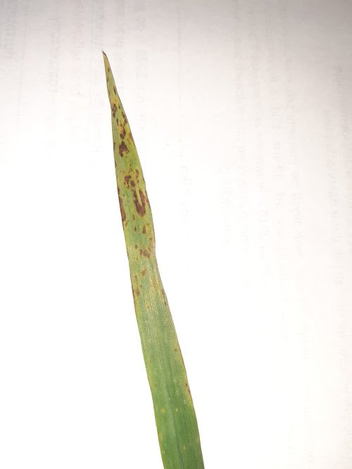 E_CmWg1TlkCA-9HW5rh0cSl026G9n5Q_Zh0yGj39