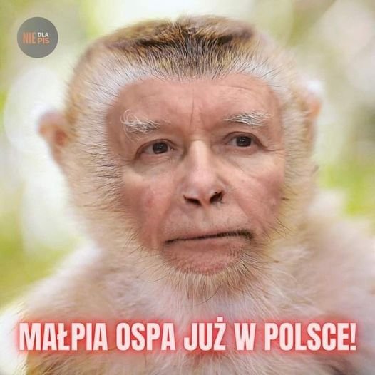 283956719_539757461198838_10129912869622