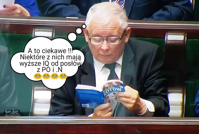 Zdjęcie użytkownika Adam Starzynski Mikroblog.