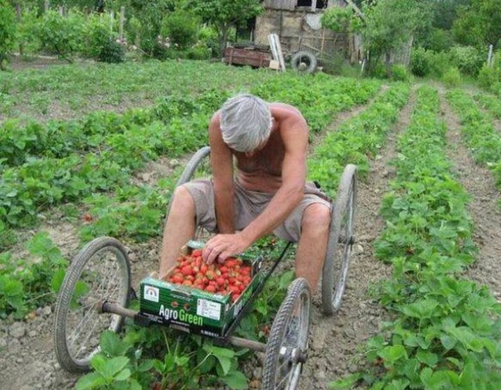 60ba567e1cfef_p.jpg?1622824661