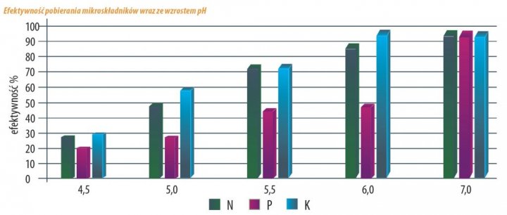efektywnosc-pobierania-skladnikow-1024x4