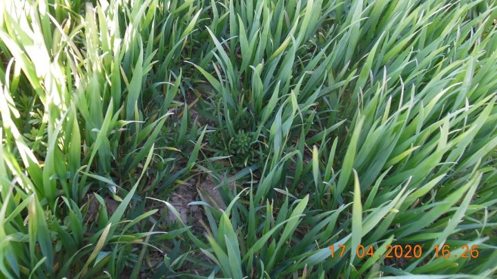 xqGEef0Uv3c39r2ExMxR9MPp_hWosj-S59xo8YZz