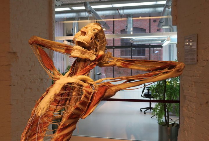 !Plastinarium w Gubinie (Guben)