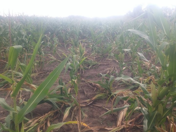 RI9gkdyuRfH7P_5CjoEiYiAb57VbYzN4RyrxHNR8