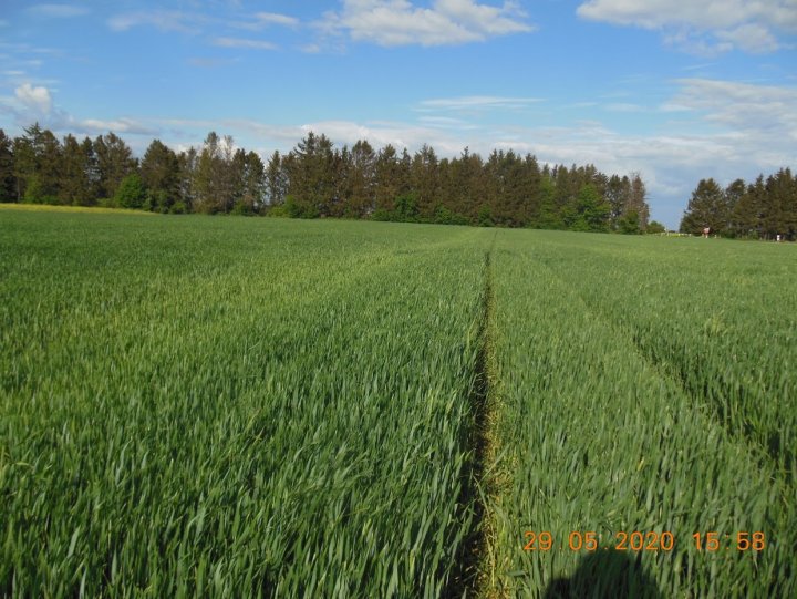 ACtC-3fxDCtBaAMngb6VsV6kqejifv4Skxce9tZN