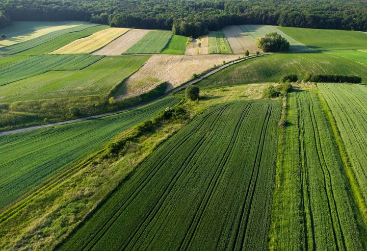 Może być zdjęciem przedstawiającym na świeżym powietrzu