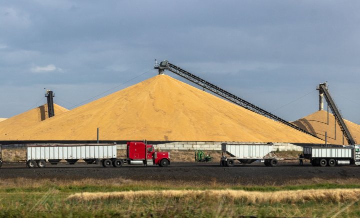 Brak dostępnego opisu zdjęcia.