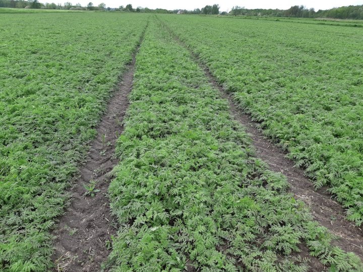 WAucI0jaS0XPIR1ia063tEomGwyXByKQ86NxU_nAgbSDyQF0akUutOHOyo28Y1v6163p7KDoDW3BKi66AxLVYmWgZlGqoKKMa9FfrWWmkXBkymXz8aZ8LtCcbfm70kBNq_s7ZhlWVtgnsJfCP8fFfJTYnV0Zq___WXdW882YEeqvAzrPtJM_QzXDrWauXAR1EUmHqNQ3CevTlCVkyaNdjaxrf3OZGHTwEZuGI7nrHaz6_m3Sdxtrd3J6RQuG1-fOsm4xF06DZoyxmTb2rnMiQ1Nhk9V1X8KIb3-aQQBaYdpEieDcYHYfv-9sDF-4amDben3k0cXLEem0jp9ydQg1CeQr38tfh8AXV4deCBYYlW6Klm3vQYsejSCWNFSr4pcLWxu0i5_ZM4G_GPdkDLuH7sbqQg9mC3hJ3SEC4y3HSlUMePrEJRbmJXqAvSAuDVO-H60SyONwCOoo-x9bM5jzsRkzYliswK8PP5sIgIjncrtzc5-RU8ykLgE4ZR1ruDZQdzhuD6qxBRQIbh7RAn8ckt5j3Uy9BB_i4_-AkAlx8J0LdEPTYoVjV9hUbcEqsw1FWdoaoqqRaSDYz9MF1jSfyXY11PZ-i07WVKvHGvLUR54mGStBrBWn4Cn1O8zPE-8amWx-zWgHDePUNcBP5RkcZQo55tuQ3poitRGN3UJTdUG4HNijm6HywrufvbiV=w1252-h939-no?authuser=0