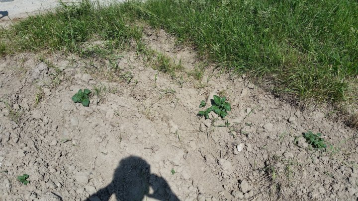 AP1GczOxHtHbEM51UiHNt-Ds---QTrgi8OFXX_R6