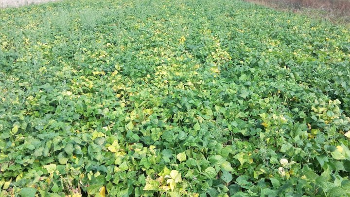 AL9nZEUBPMGtPTuE3ZjBNtrat7Zvx1AJR87sbnsA