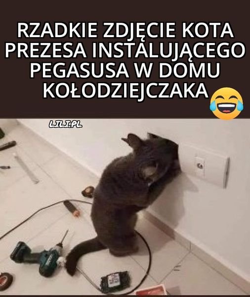 273164952_477894727192508_20867309508330