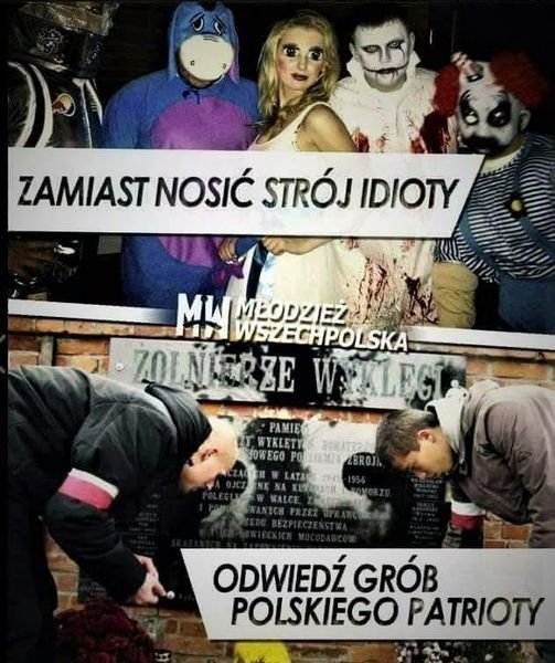 248213017_1998912396951409_6686709068255