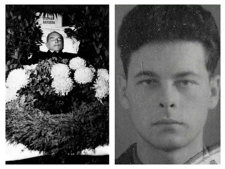 311490084_5050945715005549_2762701787025