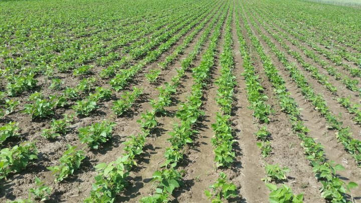 AP1GczNe0UbfCMidL_YqPWty4kuDYfT3GMUcGk8V