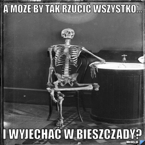 A może by tak rzucić wszystko... i wyjechać w Bieszczady? - Memy.pl
