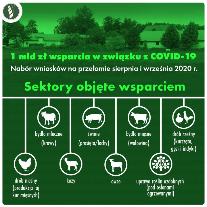 107924197_4331714573507143_4766414294642