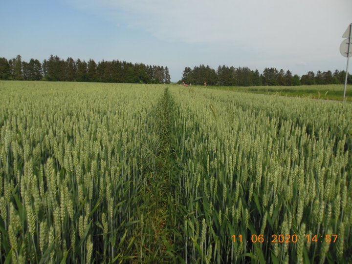 ACtC-3eS9lTvC4Ojn2Zpq-B4AyDcVuvnXIXGawtD