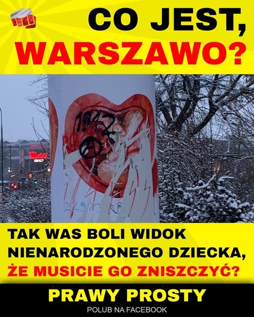 144204539_133675751913458_87982014983062