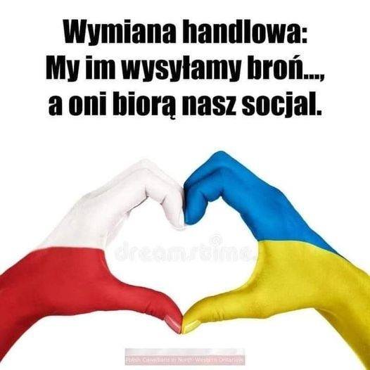 311613734_167719505855996_74174319573796