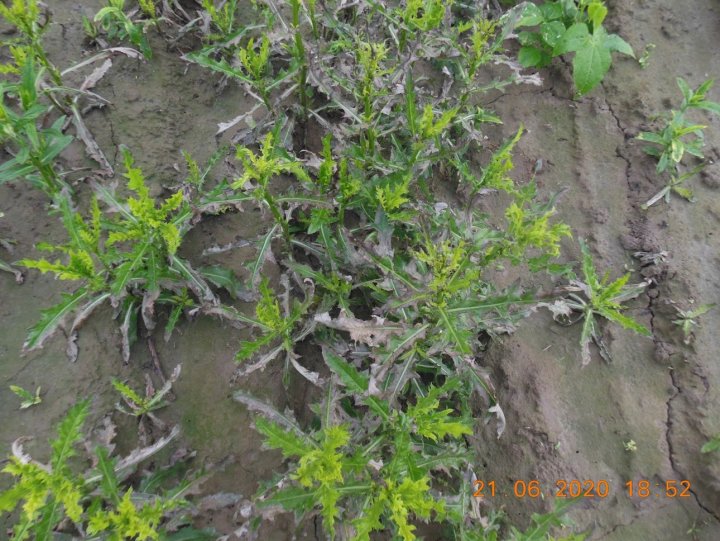 AP1GczMkZ6enJlWkoRdH71itieYPYs2DKPxRO21n