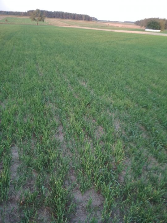 69321684_727427967680261_197754446225080320_n.jpg?_nc_cat=103&_nc_oc=AQn0FVN6lya46ursAzHB9gMQv9wQg3fpI8WgiiiRgzsPJKmwDisPesQN5ldgOXqZM9Y&_nc_ht=scontent.fwaw3-2.fna&oh=4967ef64bab80bfb6dbb99c651db5dd8&oe=5E15C3A1