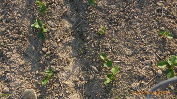 AJFCJaU-qFIB-2iF7AzjUYZMMtCAv8hmbuEzy3eq