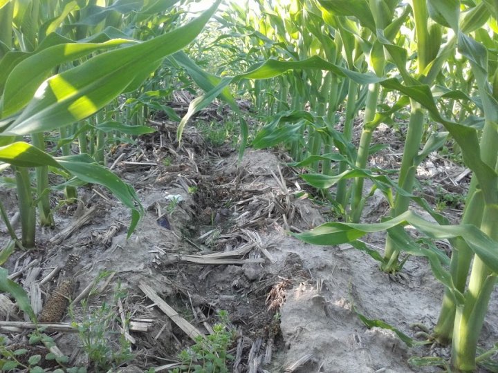 B0ZOlwqO6RP2yFxayhLkTbgOpnvHrqqgeefFfS7WoiYsNJIIGjx4zvoJynxBA9YtjSokXWMOYtBHag8QYpaixMdfJqK65WIHM-91bsjQLnAyzKTH3iw-jbC_1Usu05HD28nIcDnObUNVR12W7EJwGGkJVThOFC7YxOI24zTL_XPJJ5isA-9_w04BddLljwA0HXaAgsBJFOoKNuqPHaKFxmxGjZHYdWqKV5UuFrNIEd1XE1ziH9W7vZ_SgbNI3oaQE0ZzAHAGswSLUrFPfo53_UbbW3VDlAPvi_B5iV187KmVE_77pUKeneVAZxaWt9BGMDmJLmqOikvYpDvbxX33jBAEvsu0RgKT4-wXViLfDBj-k3cEX2p3CV1Cz8yb0Zt3B6Ku6ZHlEaZ40aJEXja-Sd-m6hPESLZjnm4an-_UycL_7GgqWeU5U85vjgf3BgIPYTmNY7vzyn5UzH0c8sCNZ_OAgEI6siVStIWoARNWrE_5ElXXx0C1_nkxK64075hCQnbunM67v6MV2ex9zjN4Fm2kvFaCVEaAXM4mgJJSWn_yZz_3-nlMKO13F5R5WaCL7bgwkjs7AP9vEWwR0lmhDXberFU9t3aNQyWkx9sanjzcW3e6THLpNMQfpaPb2fAph9ca9IdH7TB4SN1Ck4iYgLUzsVcFqPjpp8bK8VwdzO5uHNi6f6GuK5M=w876-h657-no